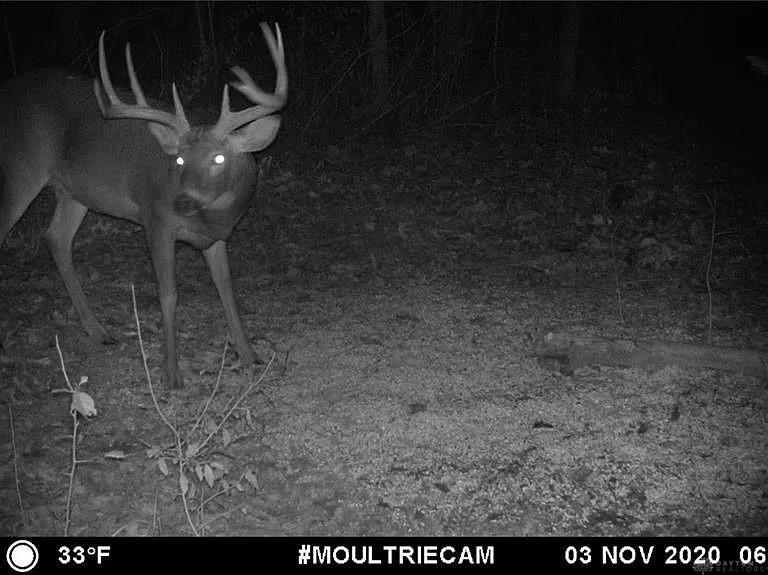 210 Blue Jay Property Photo 53