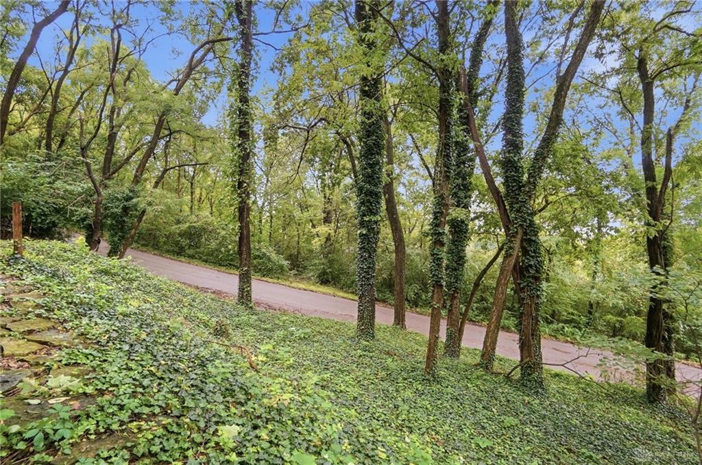 1617 Big Hill Property Photo 84