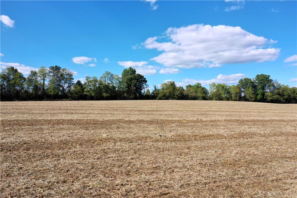 56 Ac Strout Property Photo 9
