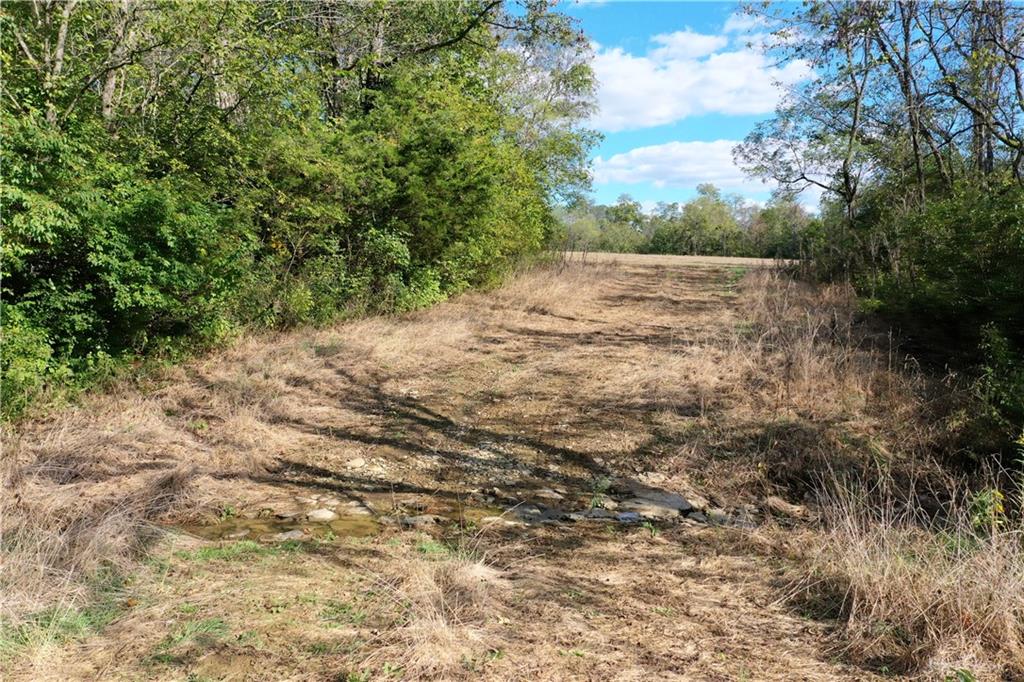 56 Ac Strout Property Photo 12