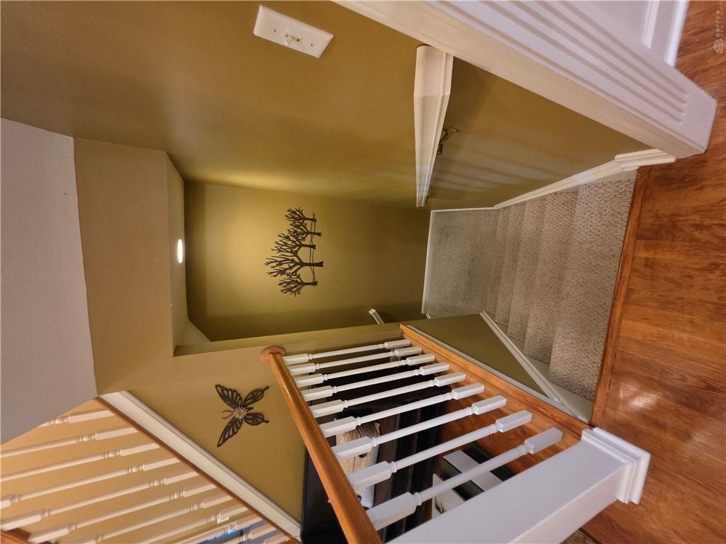 538 Tara Property Photo 49