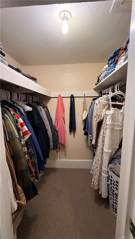 238 Hall Property Photo 19