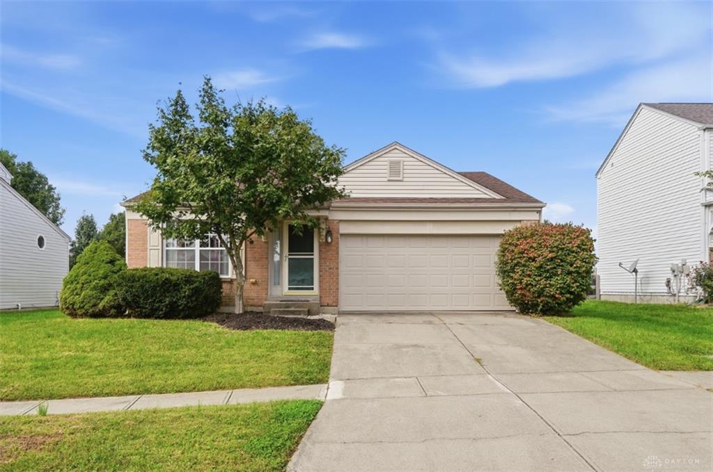 6629 Black Forest Property Photo 2