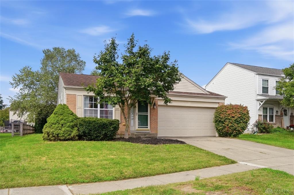 6629 Black Forest Property Photo 3