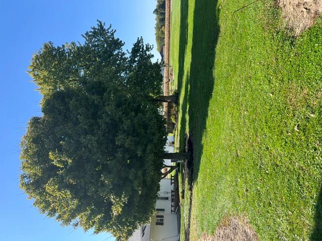 7136 Dull Property Photo 5