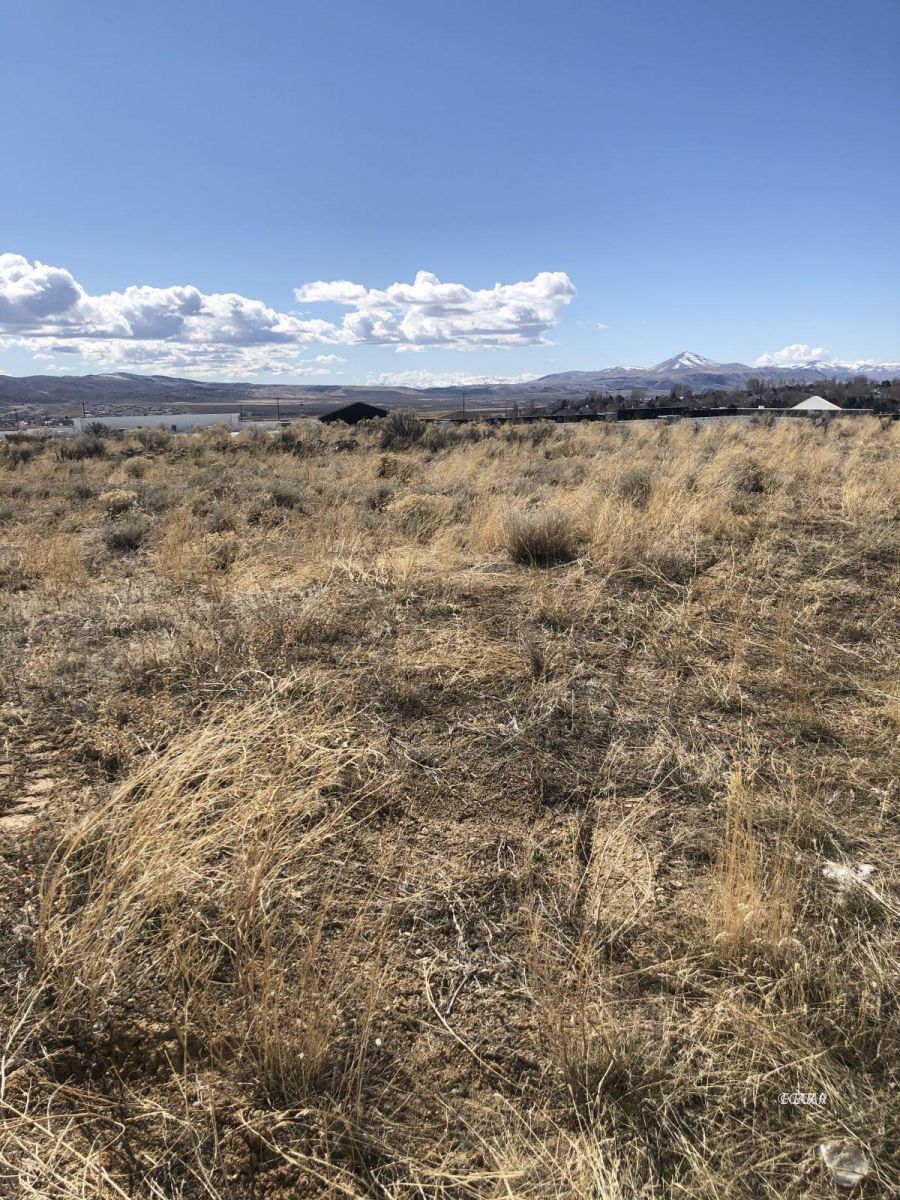 Bluffs Avenue Property Photo