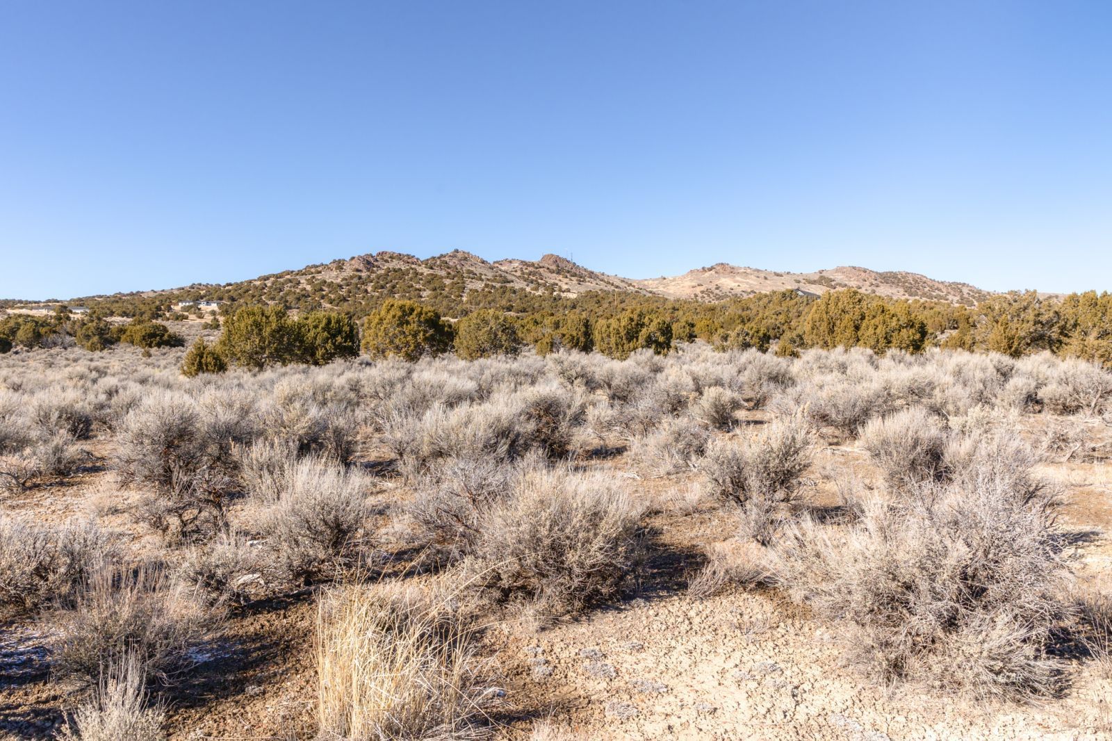 Tbd Wong Way Property Photo