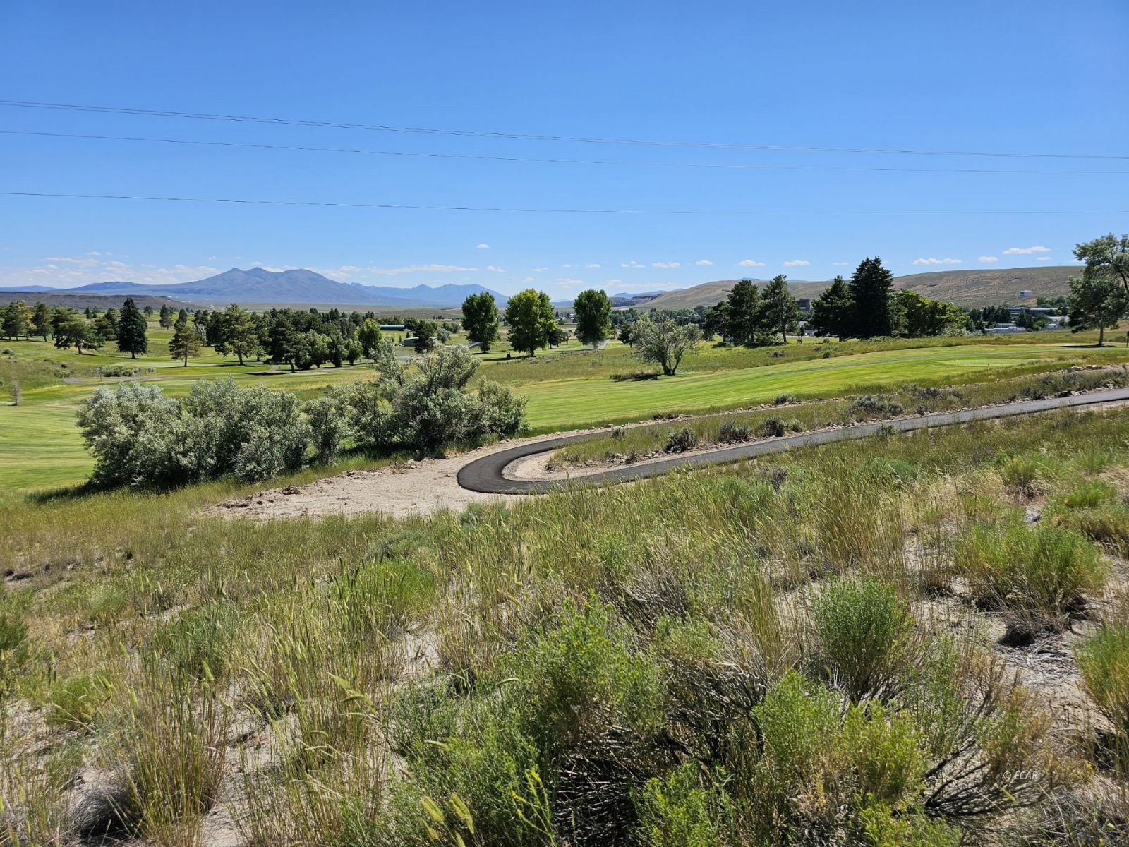 286 Bacarrat Court Property Photo
