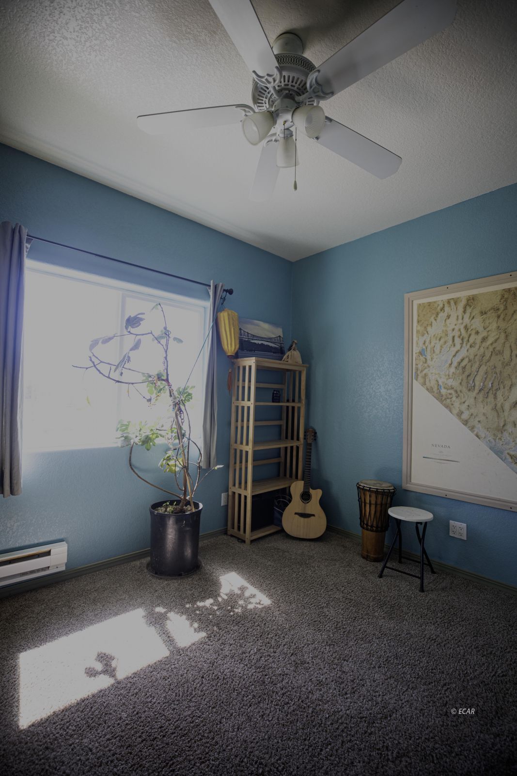 2640 Monte Neva Road Property Photo 21