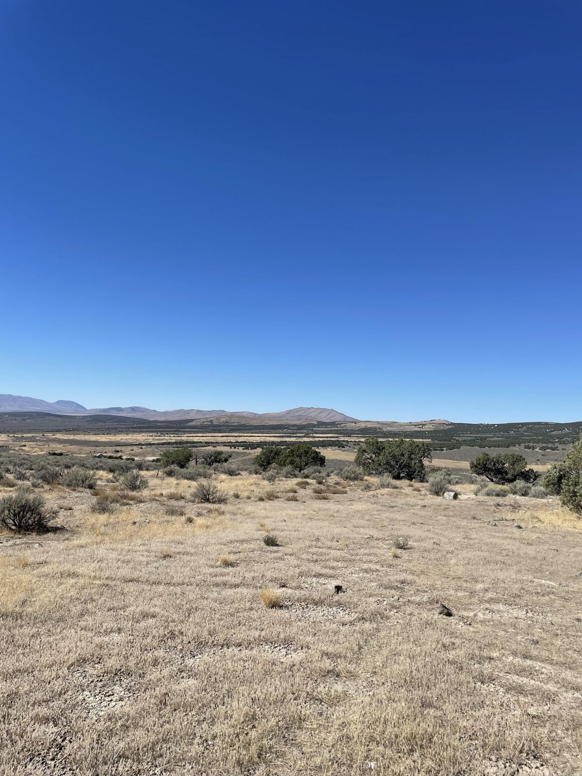 Tbd Emigrant Court Property Photo 1