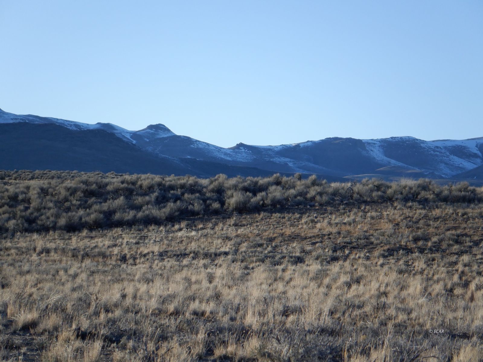 Tbd Comanchee Drive Property Photo
