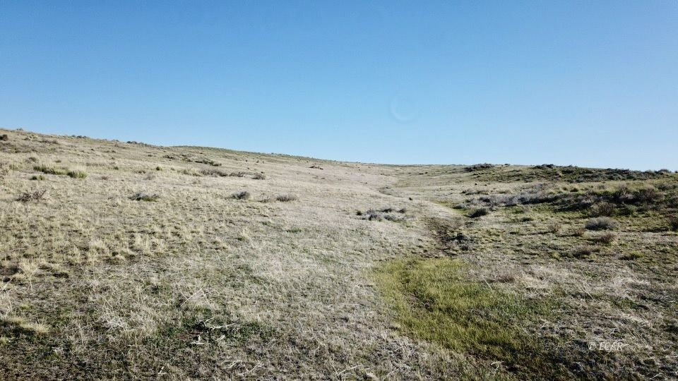 40 Acre Off Charleston-deeth Road Property Photo 1