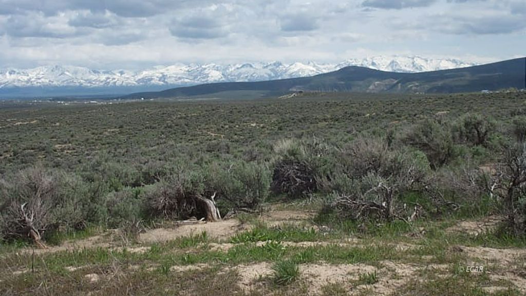 2+ Acres Goldrush Drive Property Photo