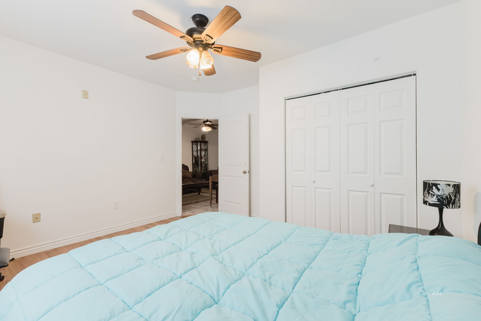 923 Bush Street Property Photo 21