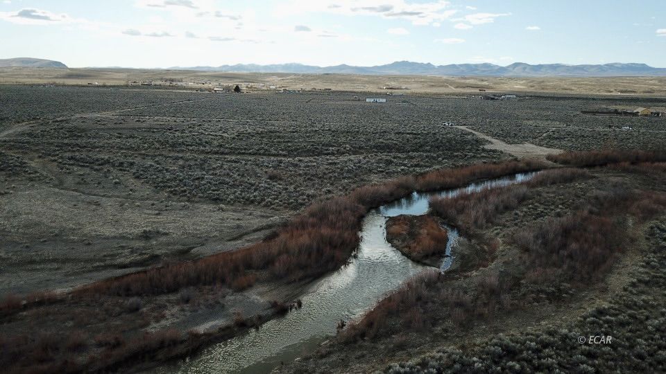 4.81 Acres Kings River Boulevard Property Photo