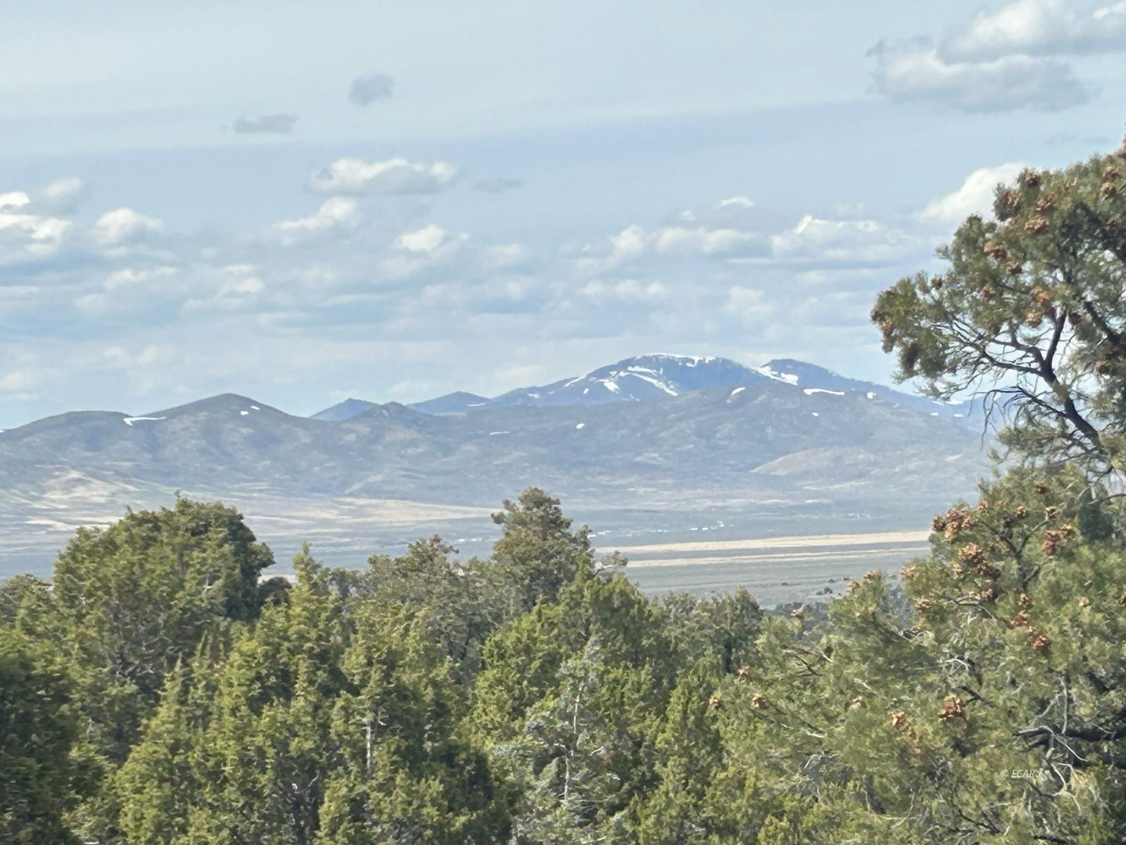 Wells Real Estate Listings Main Image