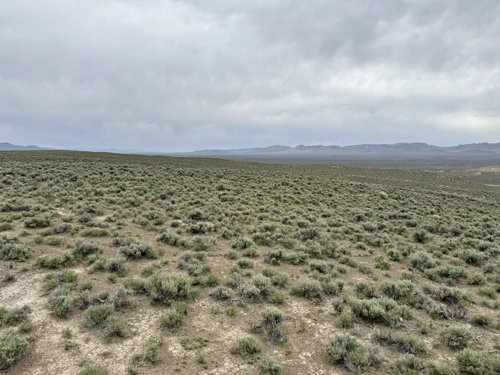 6.6 Acres Pine Street