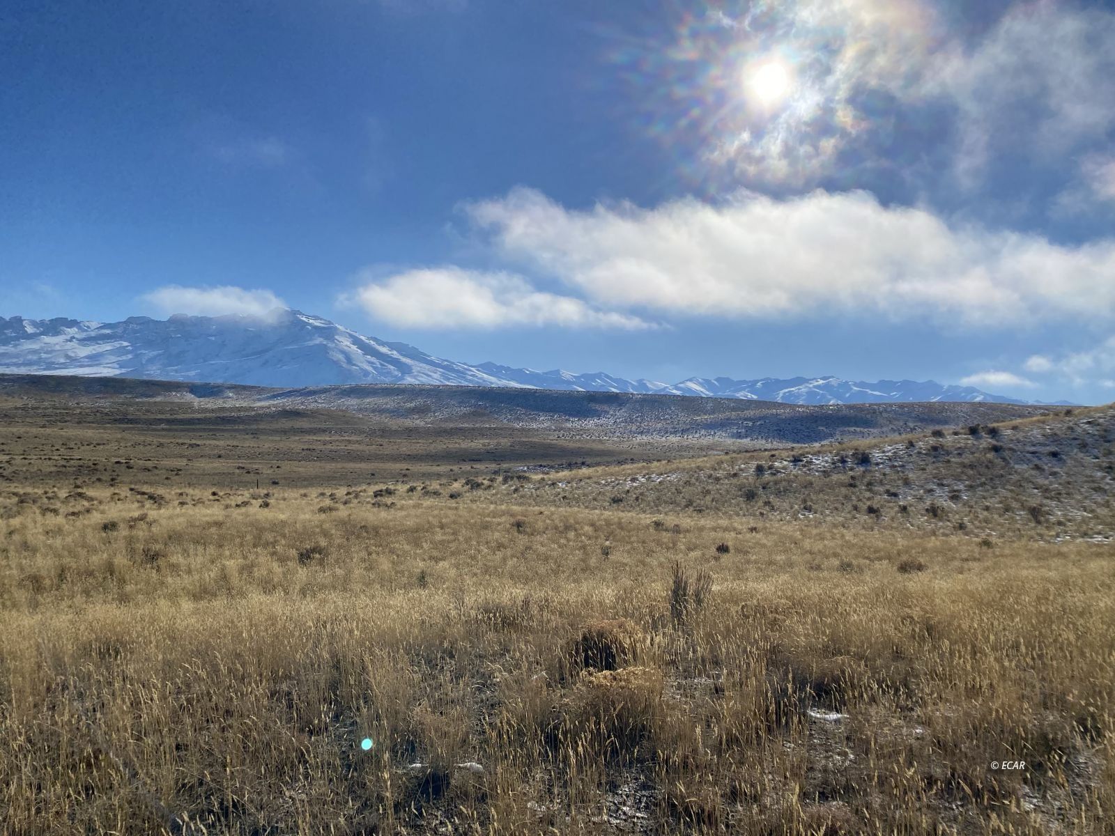 Sun Valley Road Property Photo
