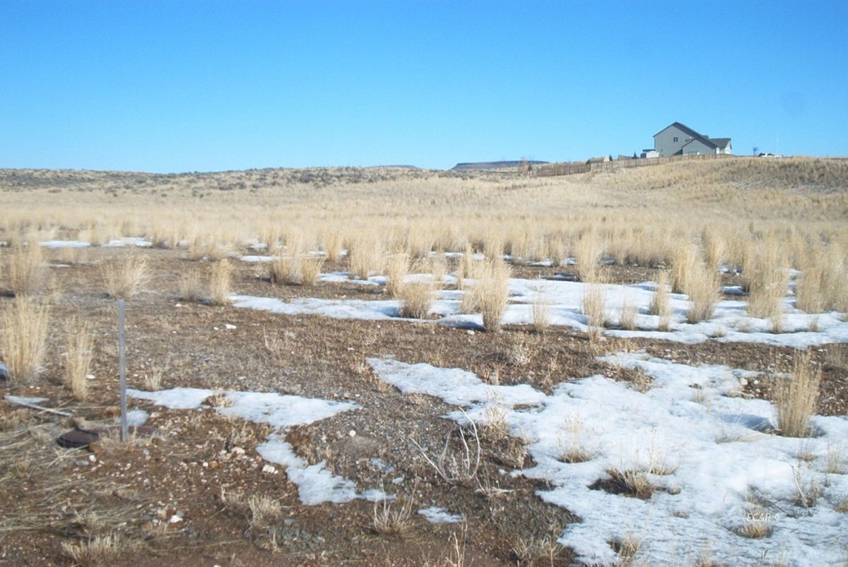 Royal Flush Dr Drive Property Photo 1
