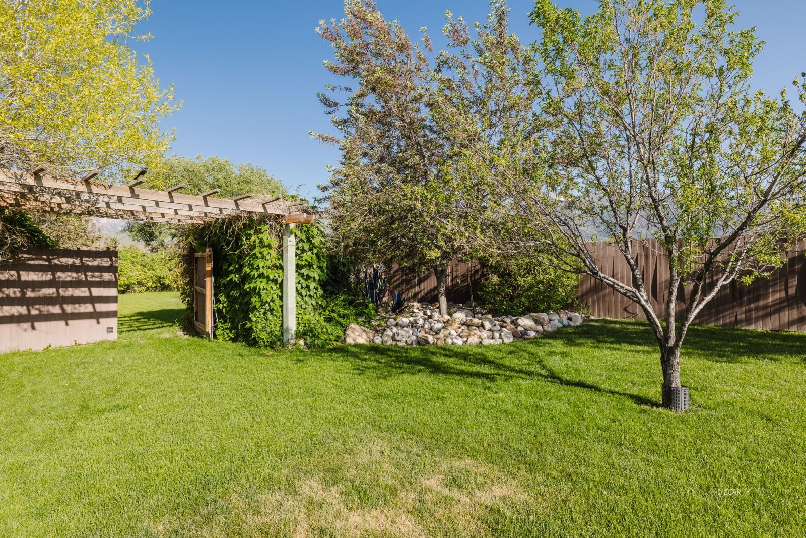 3163 Clubine Road Property Photo 40