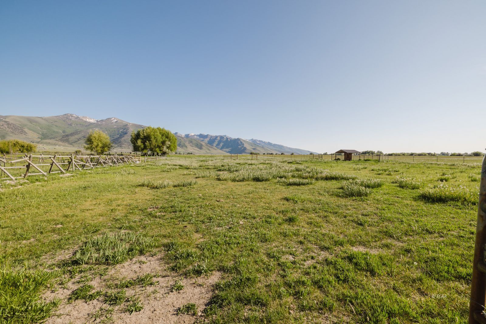 3163 Clubine Road Property Photo 44