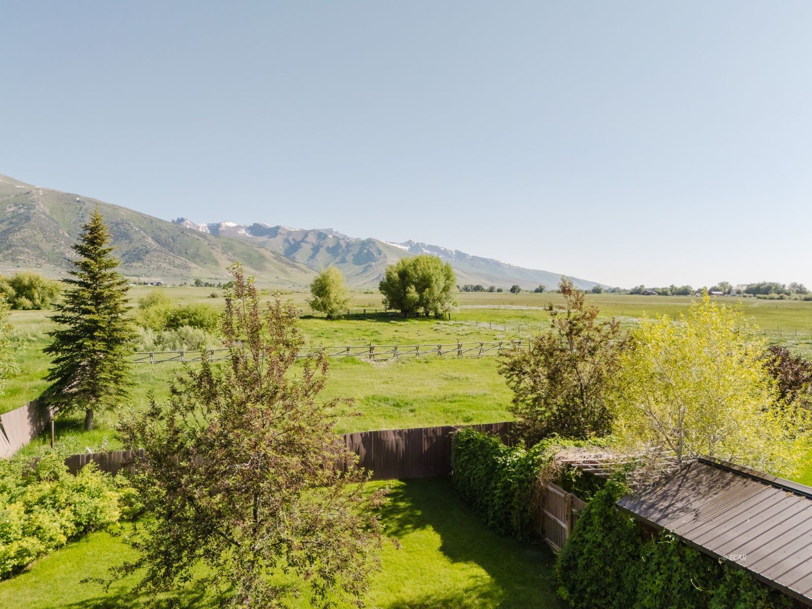 3163 Clubine Road Property Photo 47