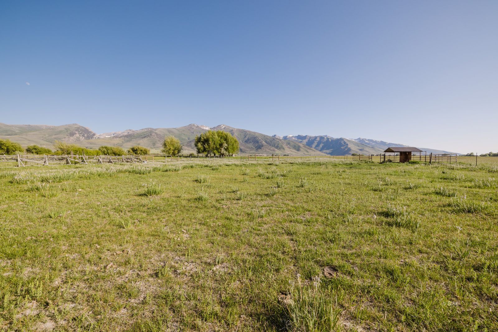 3163 Clubine Road Property Photo 48