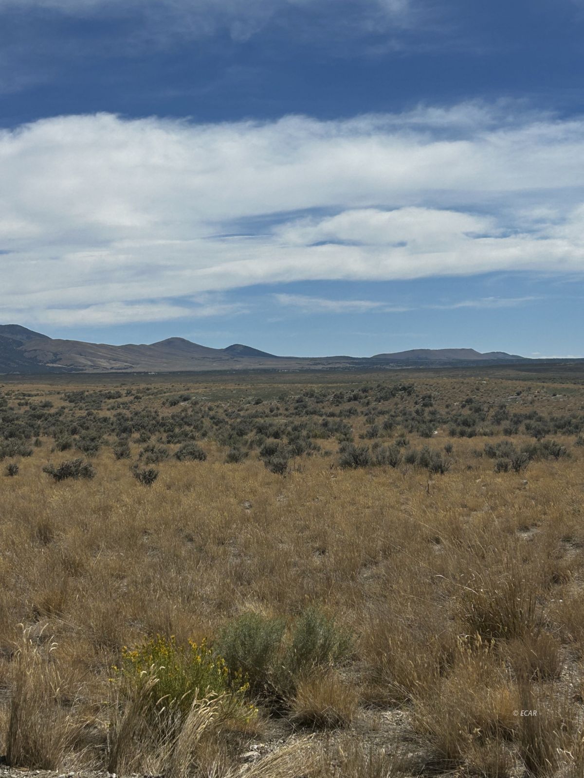 にに T29N,R49E SEC. 19, Crescent Valley, NV 89821 | MLS#: 3626604