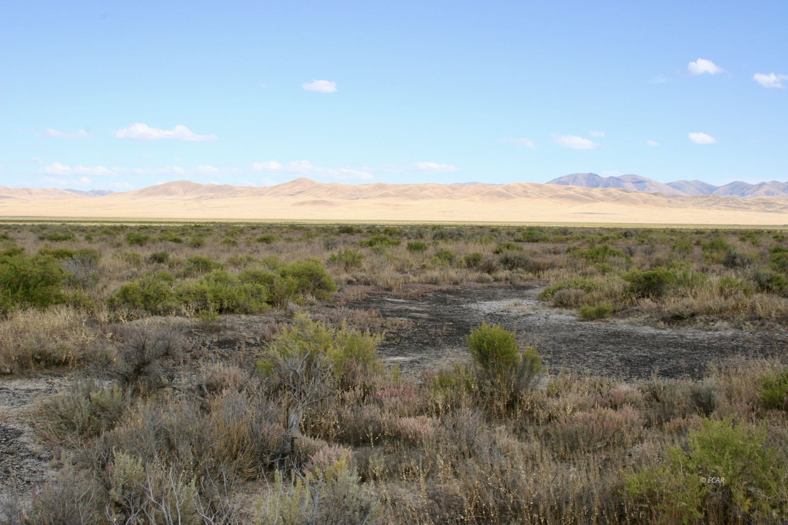 40 Acres N. Property Photo 1