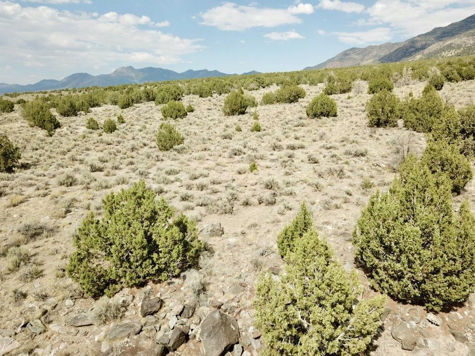 10 Acres Property Photo 1