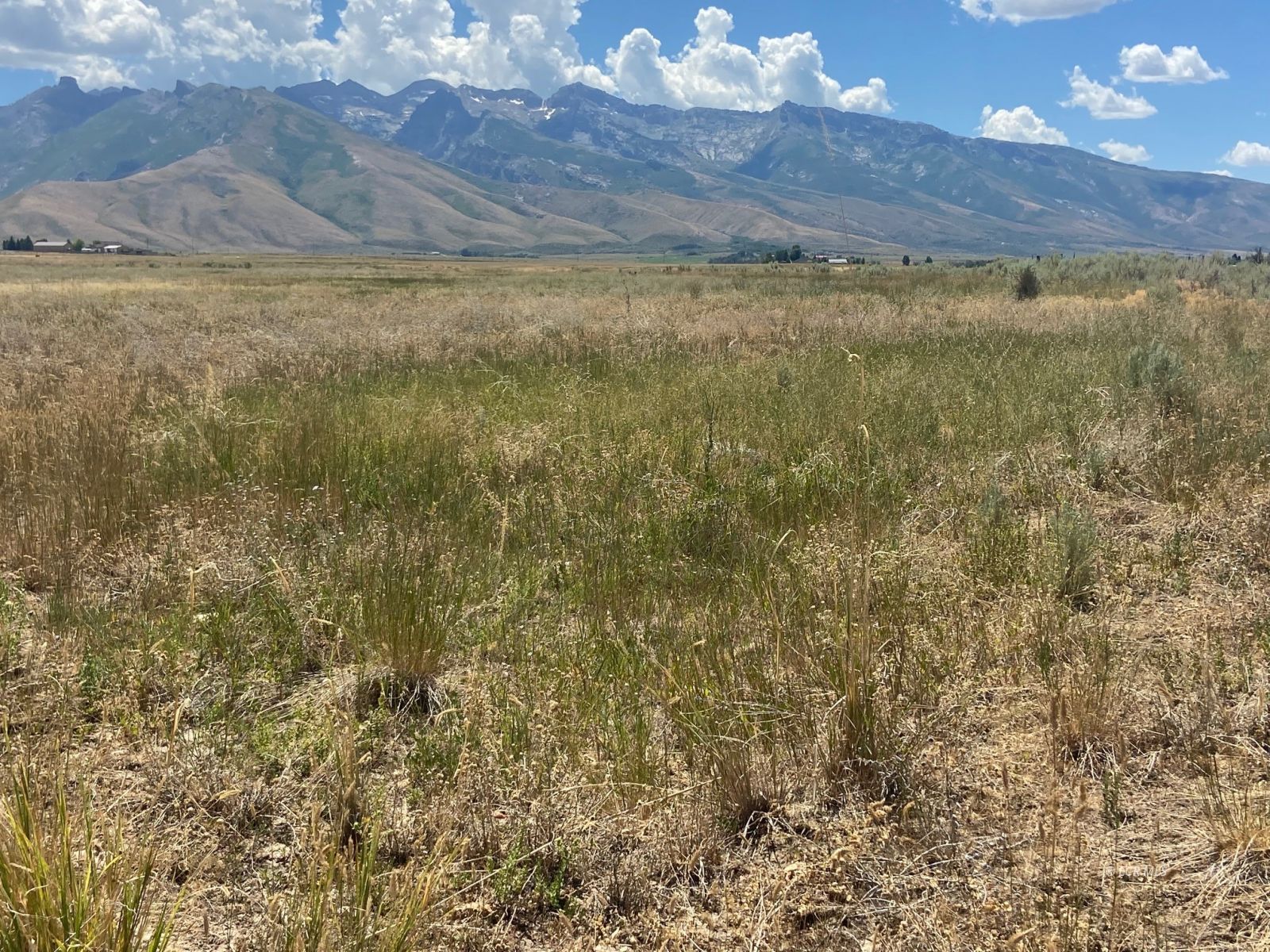 80.21 Acres Parcel A Property Photo 4