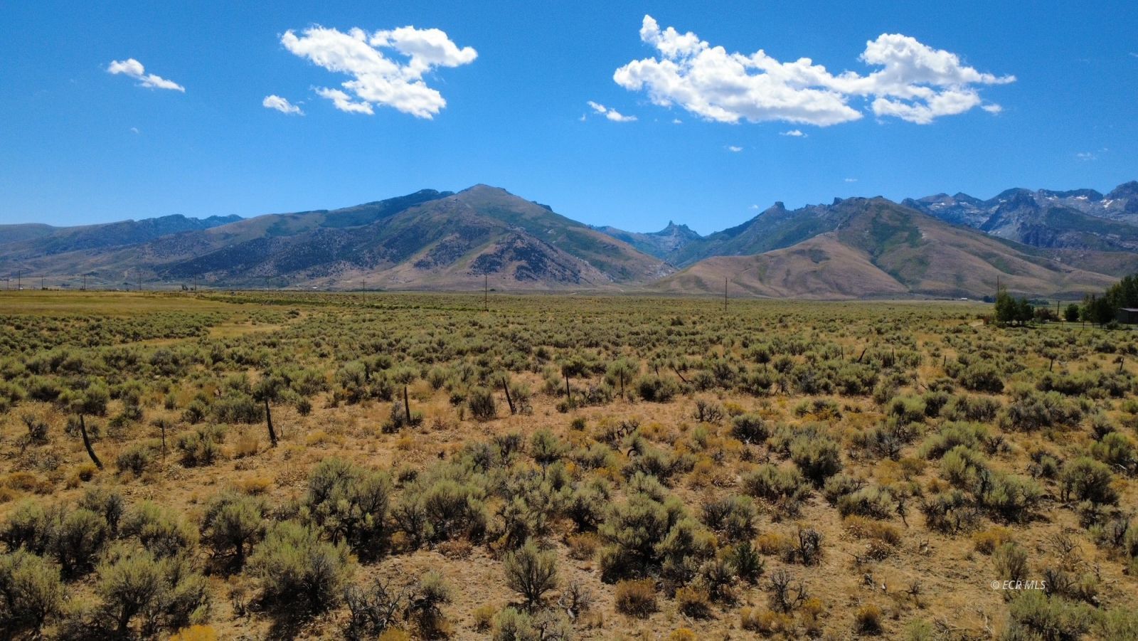 80.21 Acres Parcel A Property Photo 8