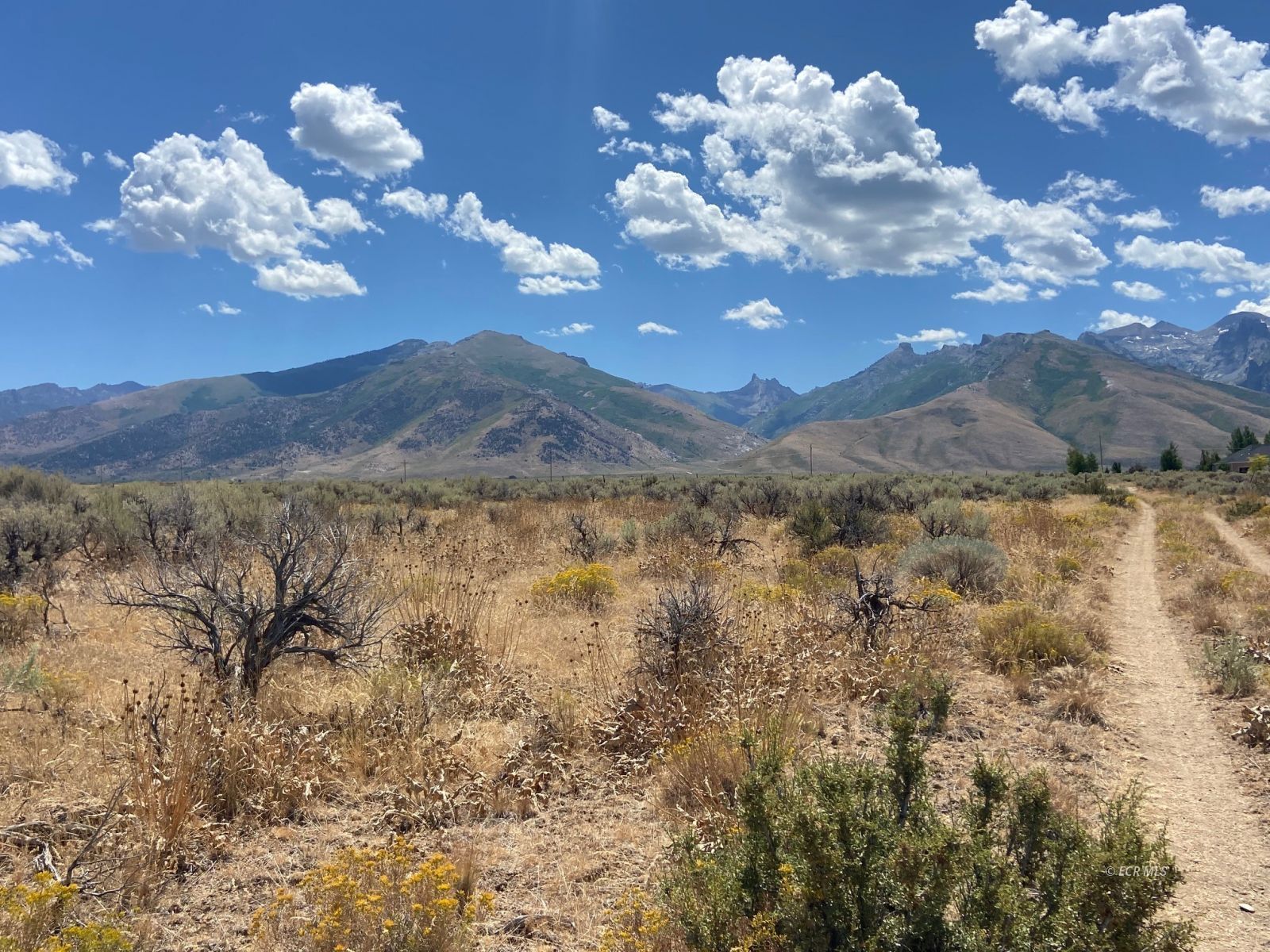 80.21 Acres Parcel A Property Photo 9