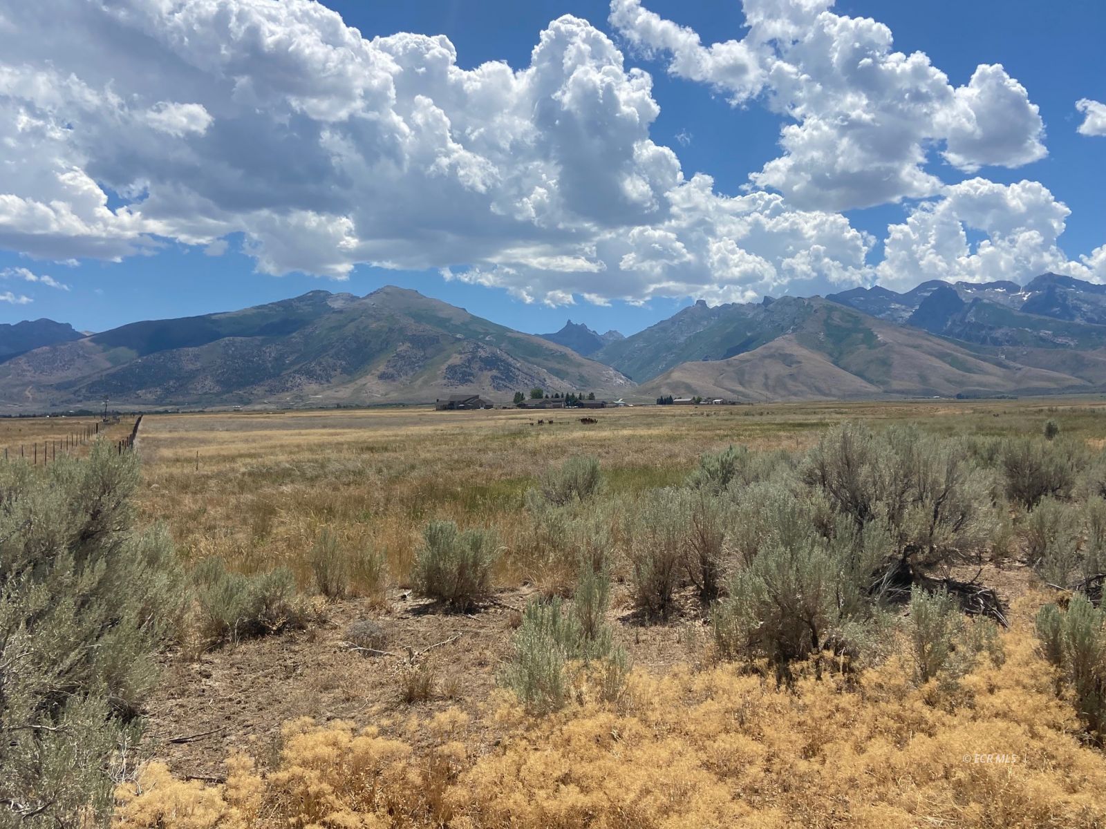 80.21 Acres Parcel A Property Photo 13