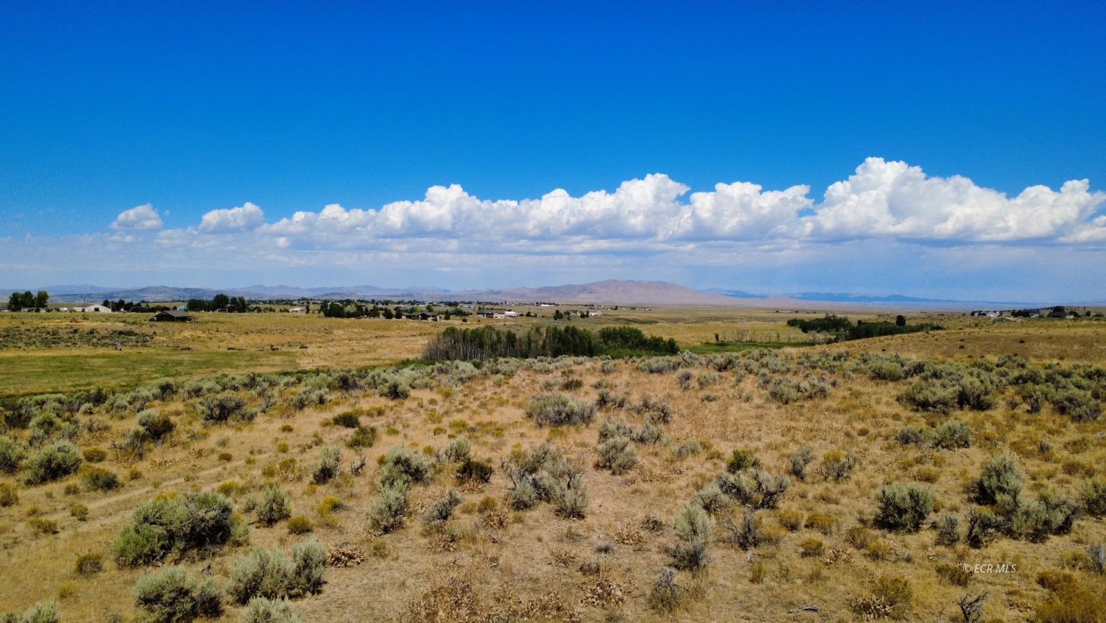 80.21 Acres Parcel A Property Photo 15