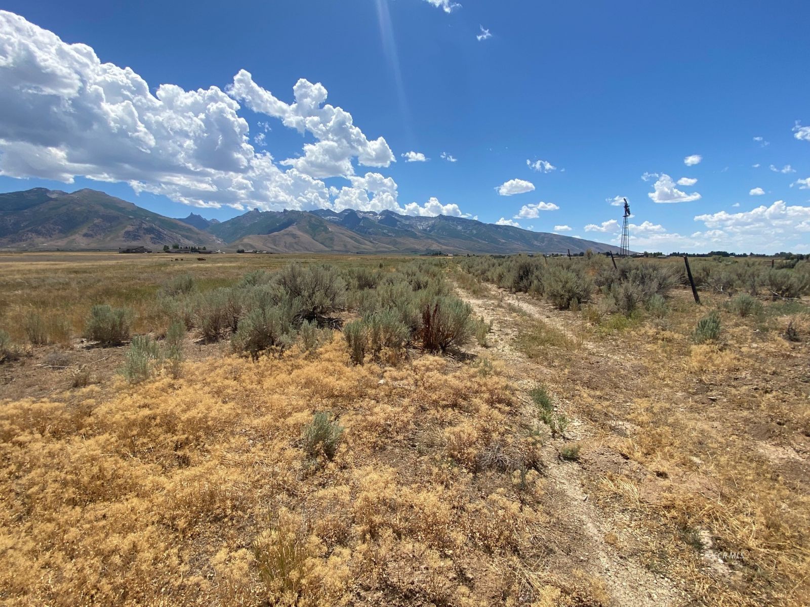 80.21 Acres Parcel A Property Photo 20