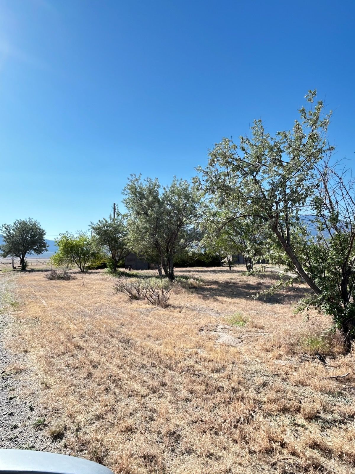 000 Pilot Road Property Photo 2