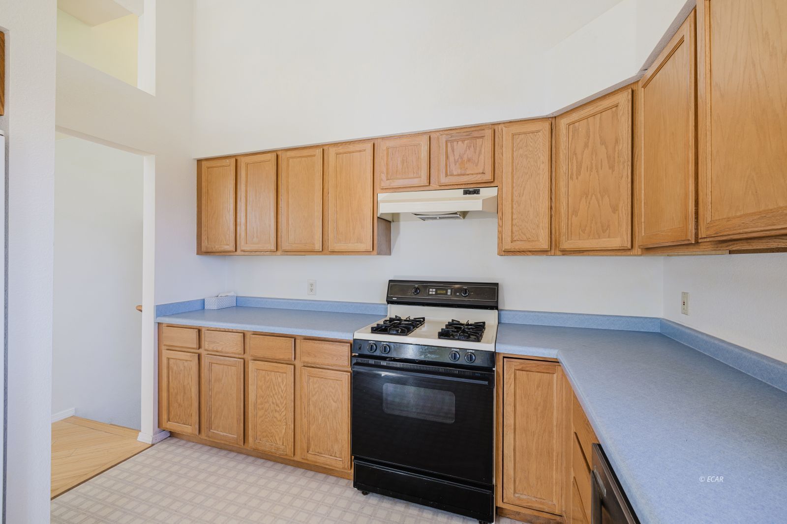 629 Palace Parkway Property Photo 15