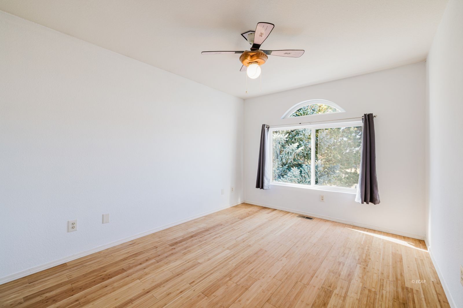 629 Palace Parkway Property Photo 22