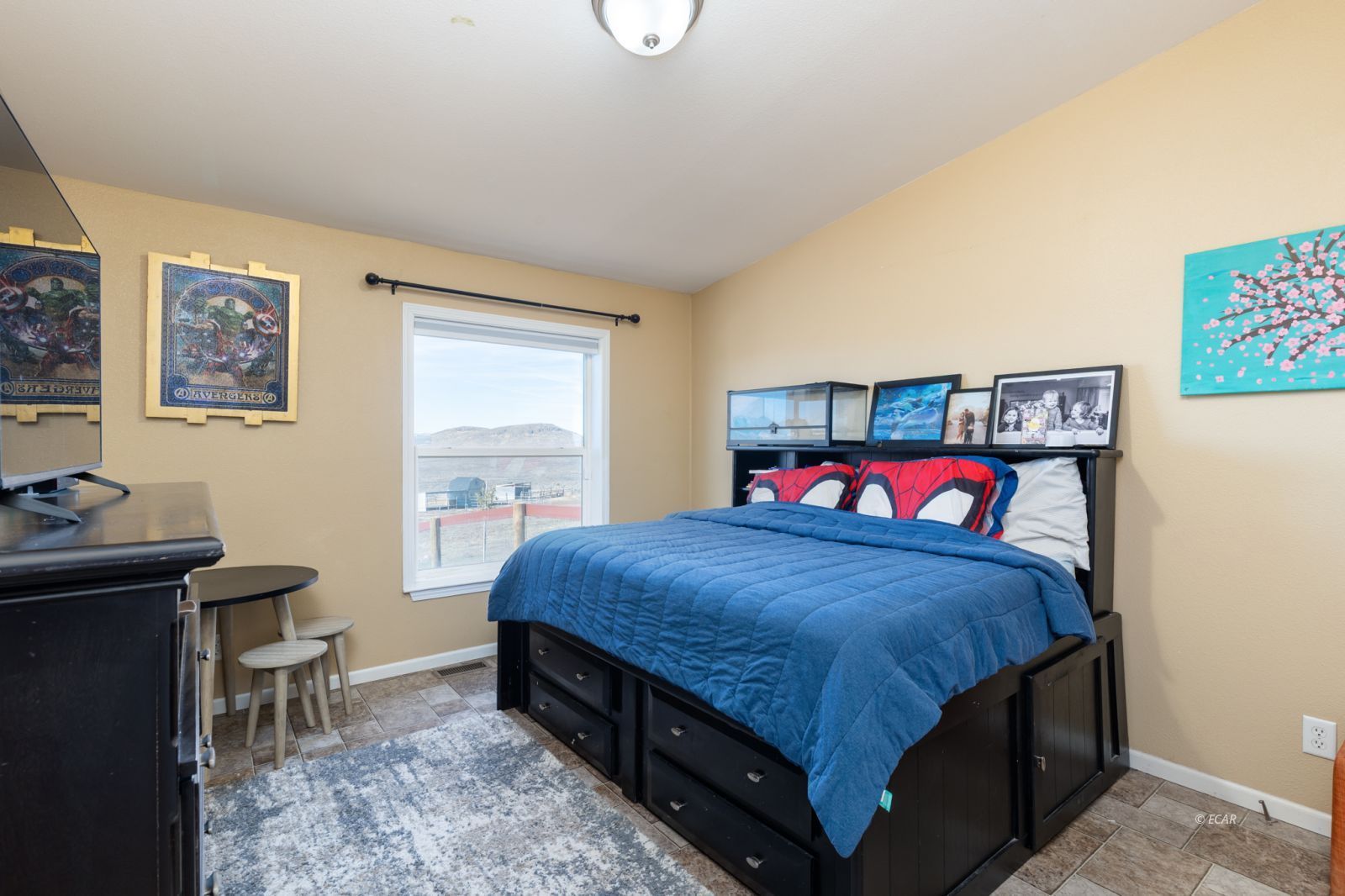 4350 Adobe Ranchos Drive Property Photo 21