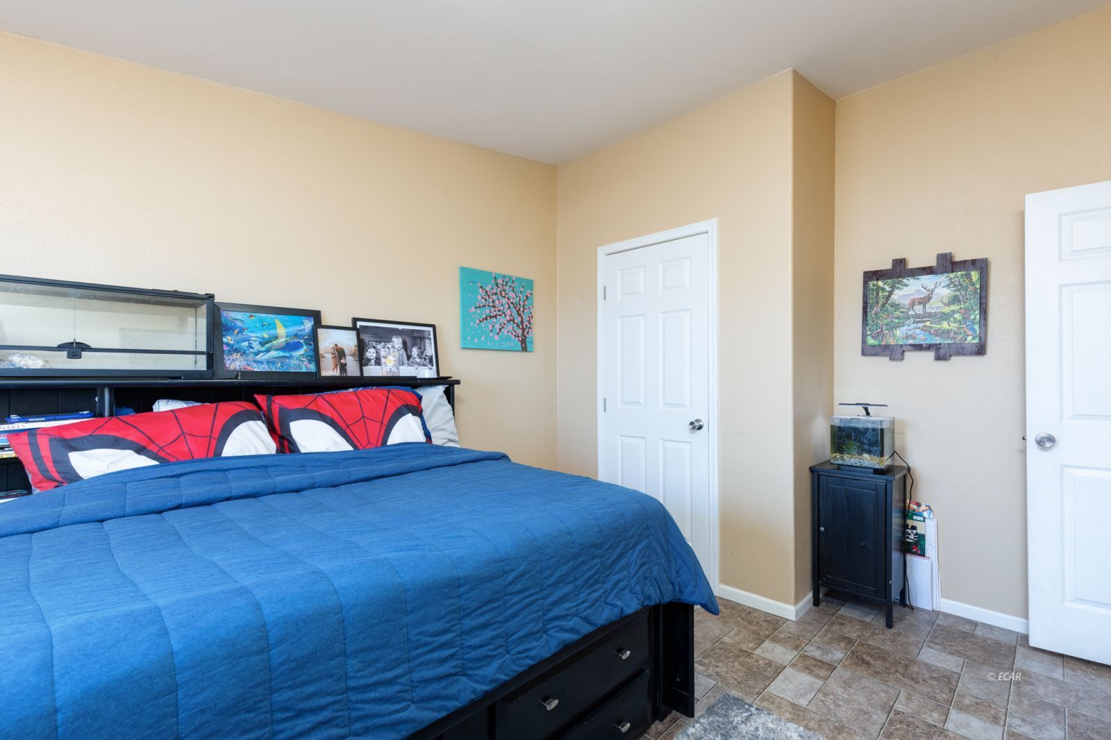 4350 Adobe Ranchos Drive Property Photo 22