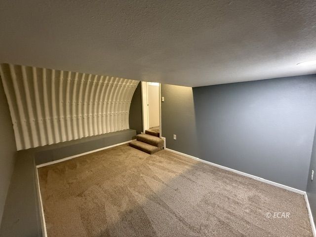 519 Spring Creek Parkway Property Photo 13