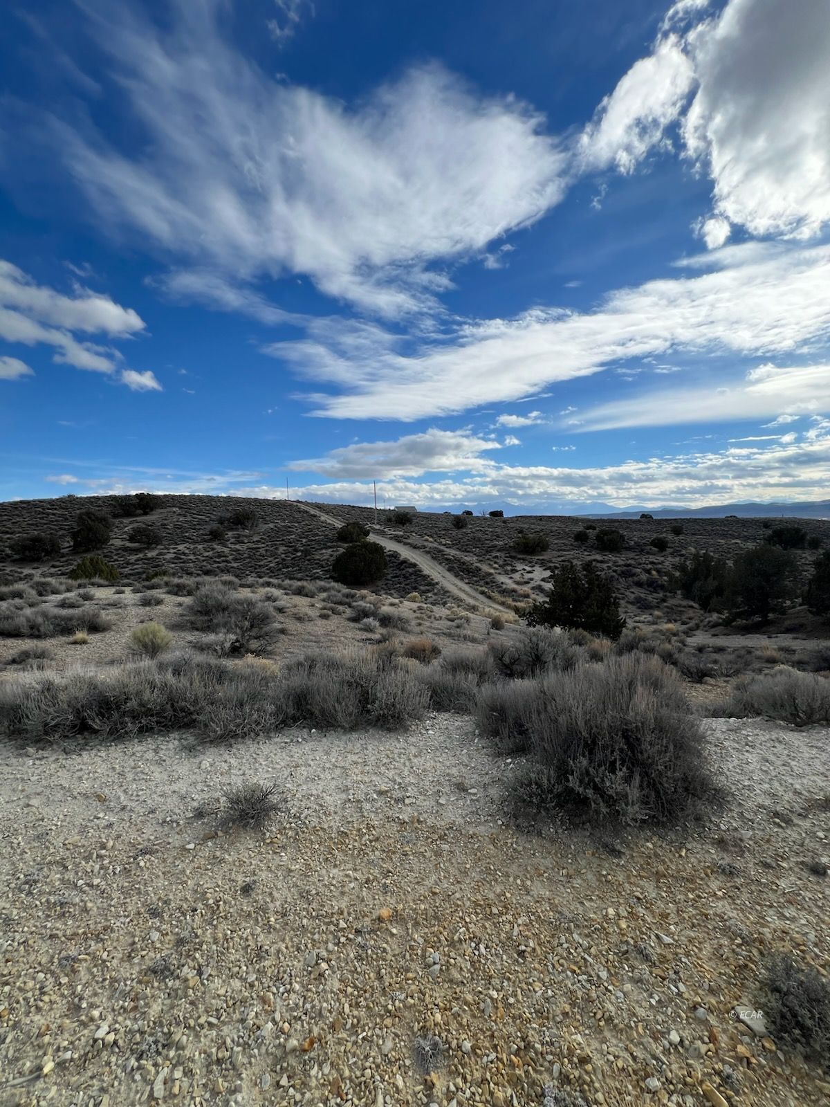 N/a Grant Avenue Property Photo 2