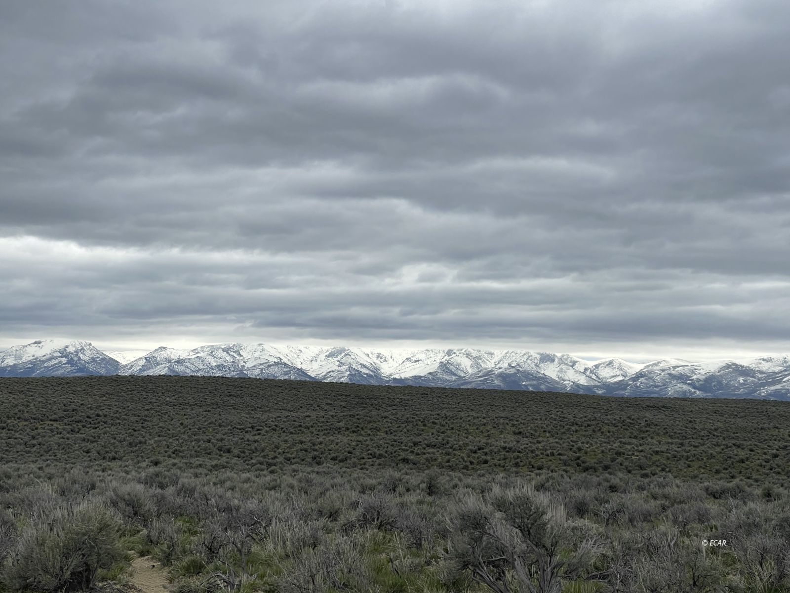 1 Topaz Property Photo 1