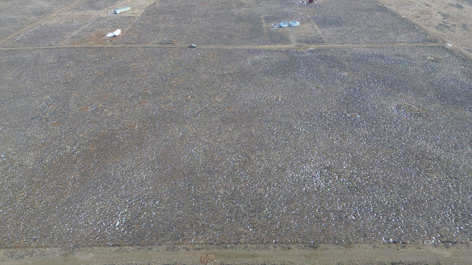 Calcite Avenue Property Photo 9