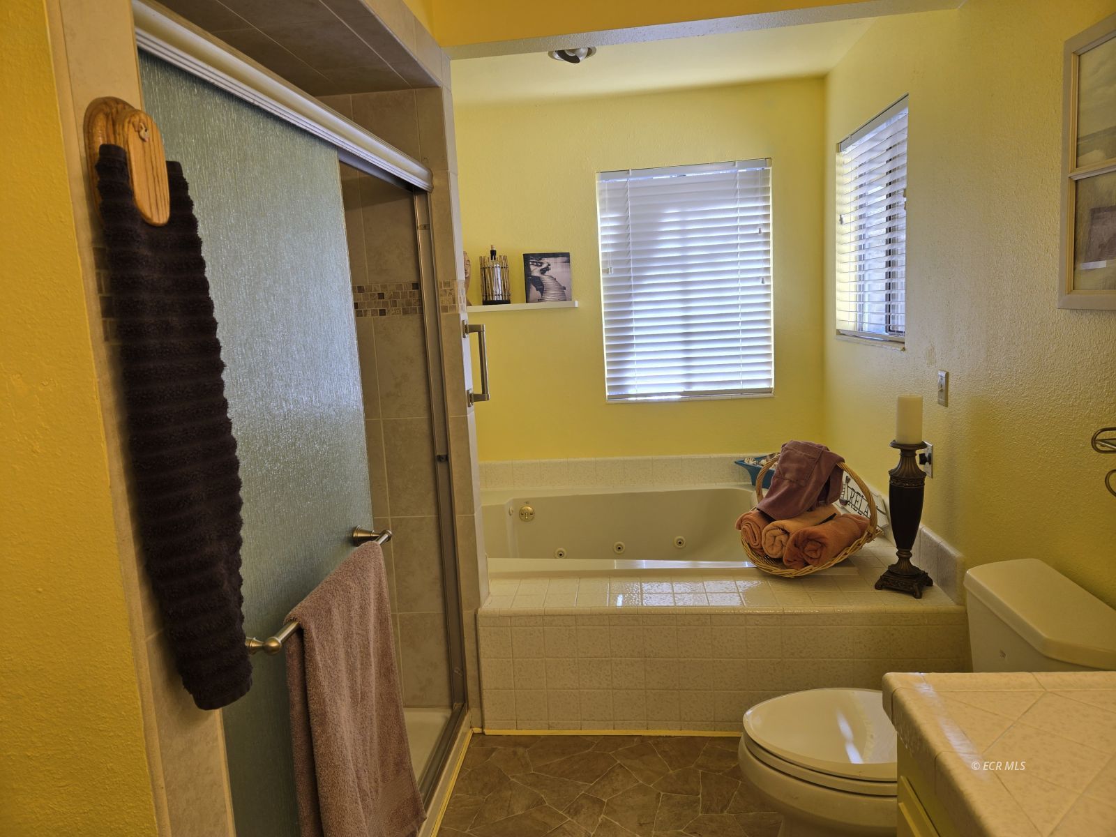 775 Meadow Valley Street Property Photo 3