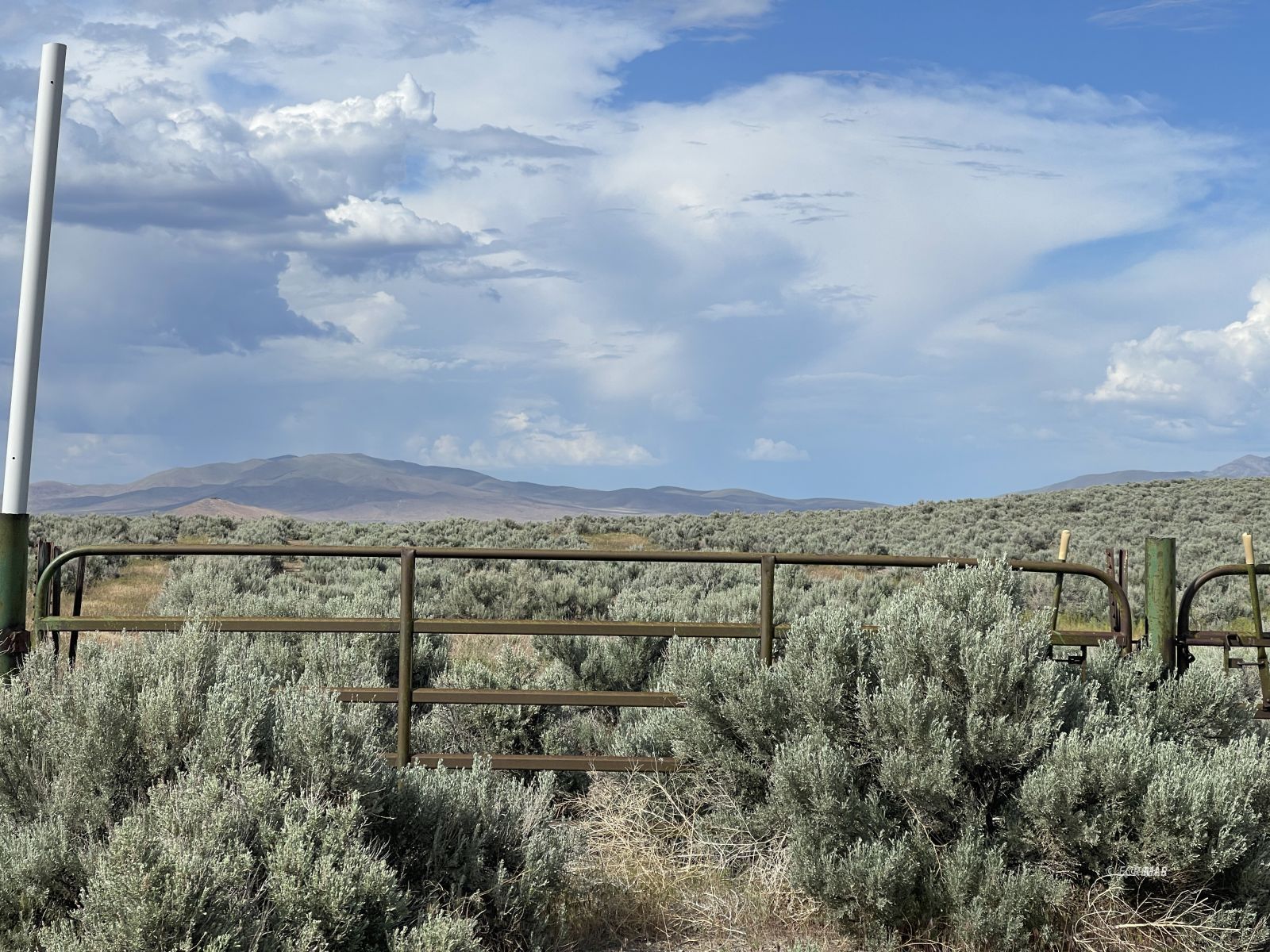 Button Point Property Photo 2