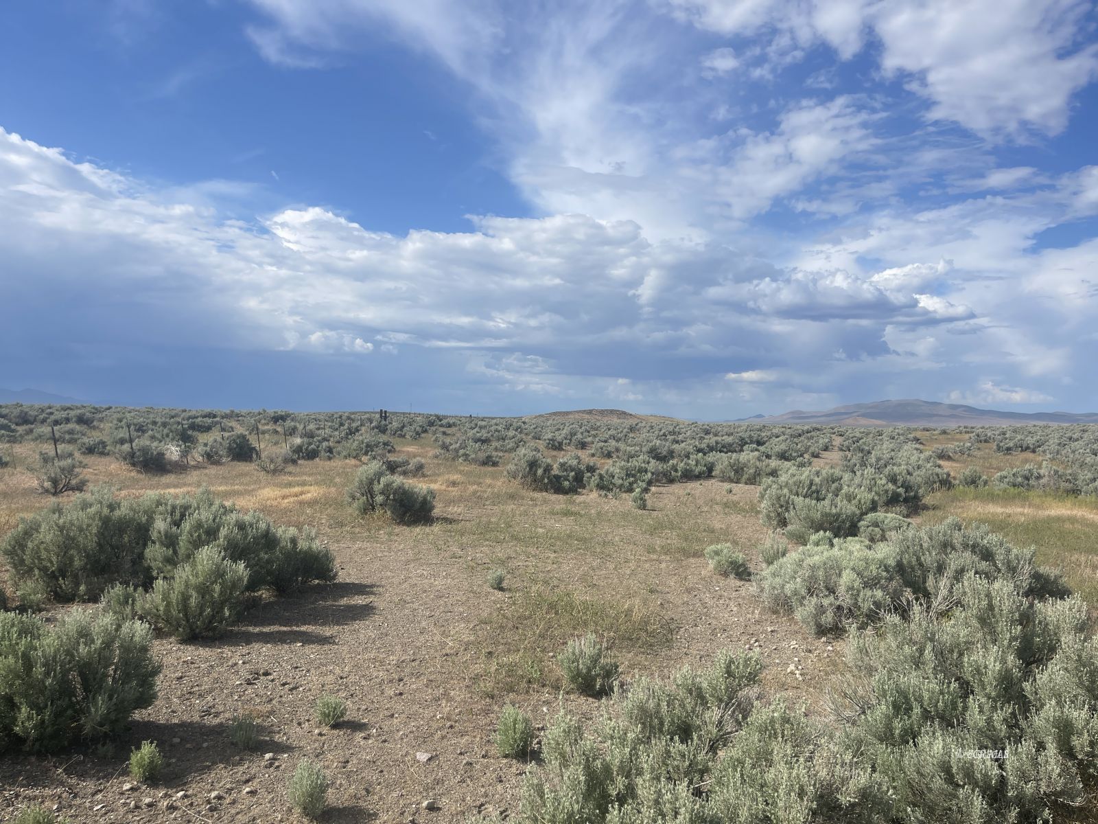 Button Point Property Photo 9