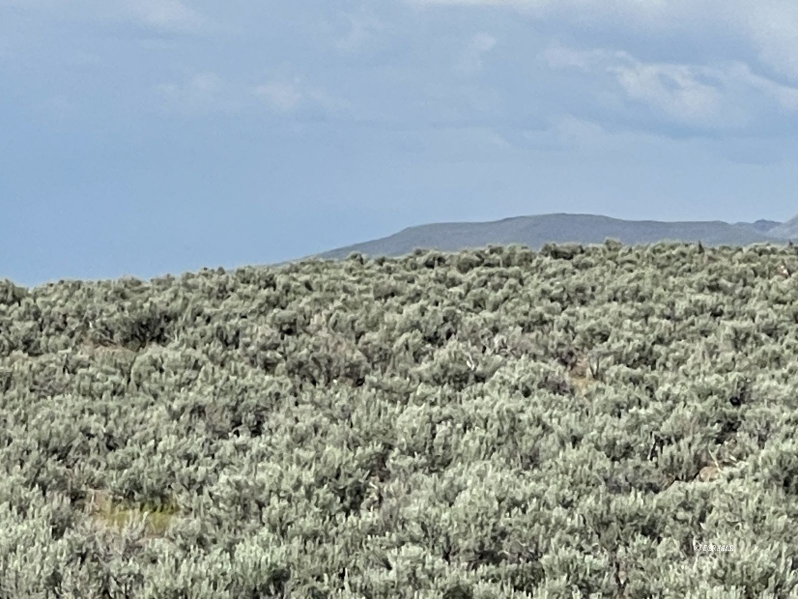 Button Point Property Photo 12