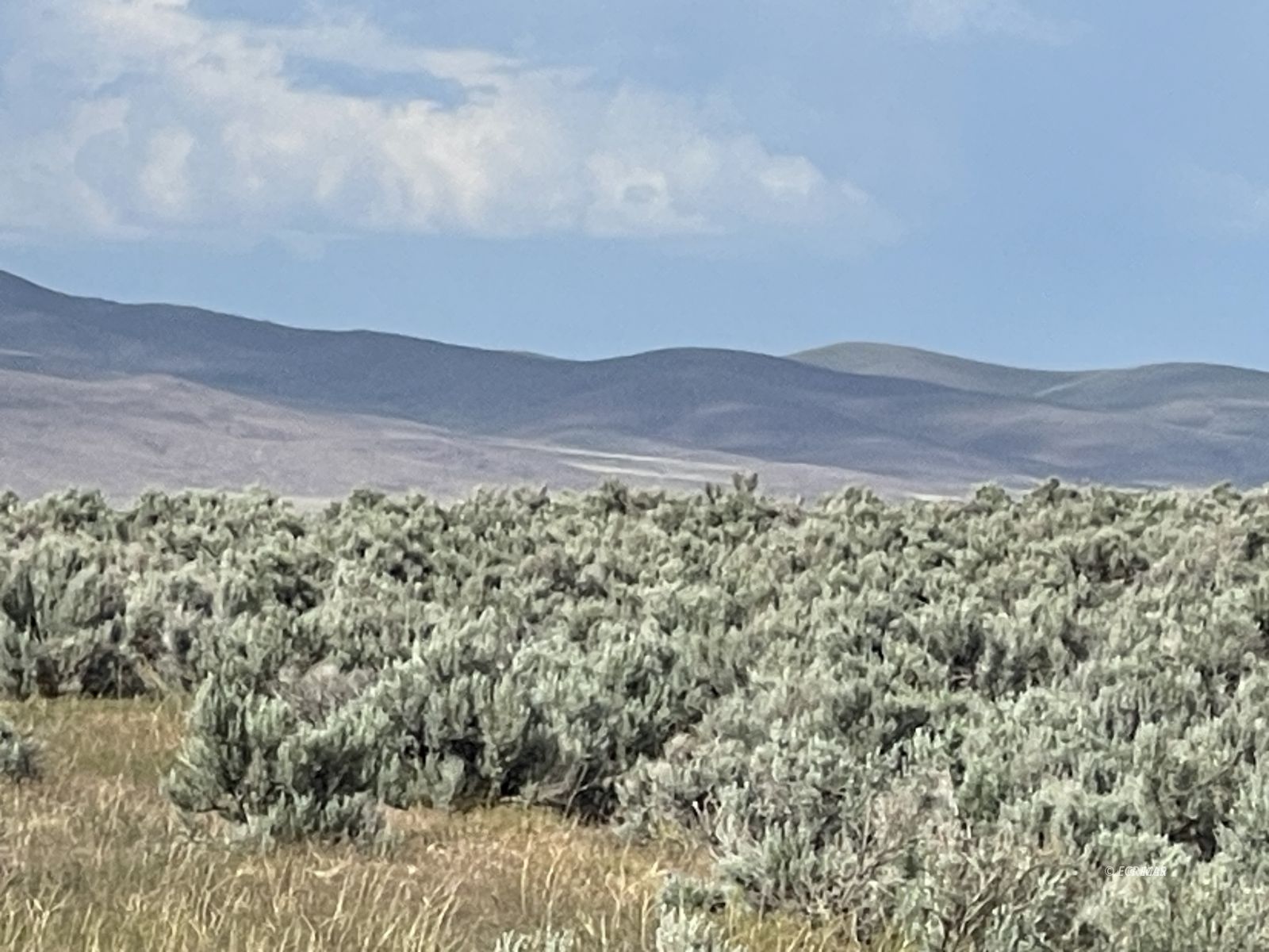 Button Point Property Photo 13